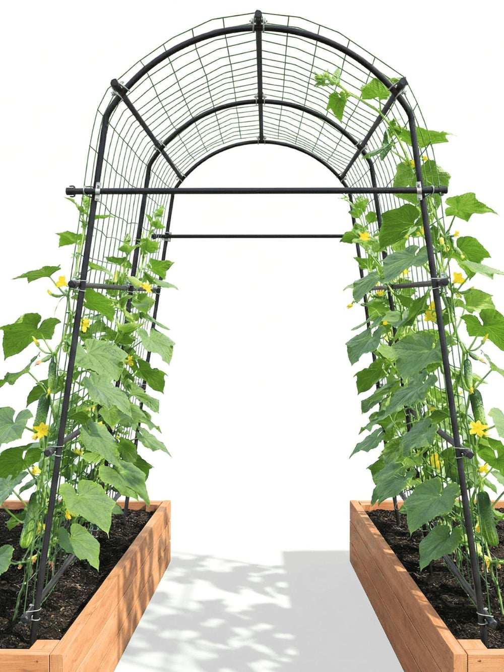 BAXAM front view of 7ft steel arch trellis showing strong garden support