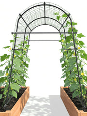 BAXAM front view of 7ft steel arch trellis showing strong garden support