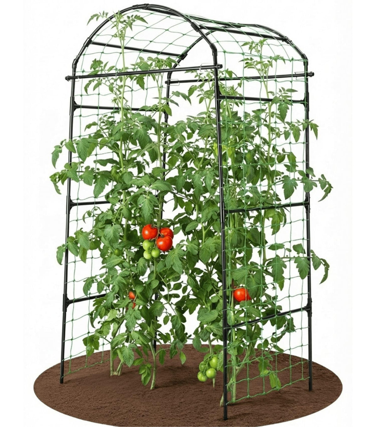 BAXAM front view arch trellis showing sturdy frame and space saving