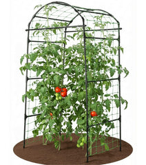 BAXAM front view arch trellis showing sturdy frame and space saving