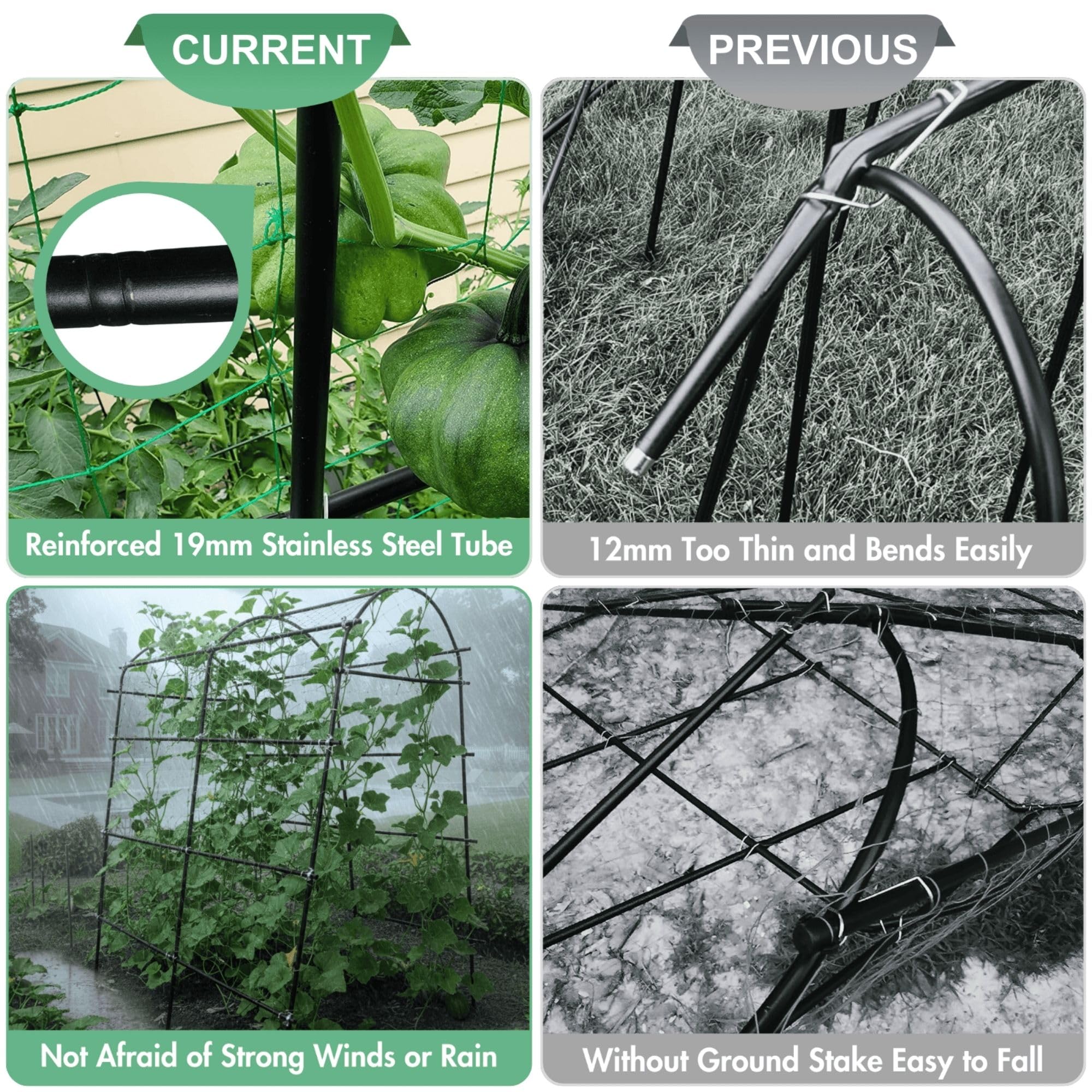 BAXAM arch with cucumbers climbing, improving airflow and cleaner harvests