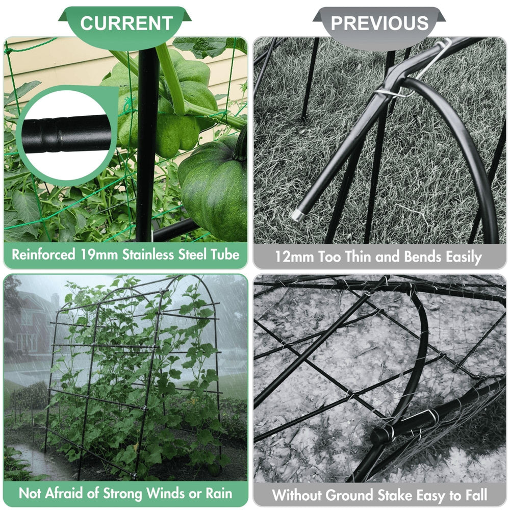 BAXAM arch with cucumbers climbing, improving airflow and cleaner harvests