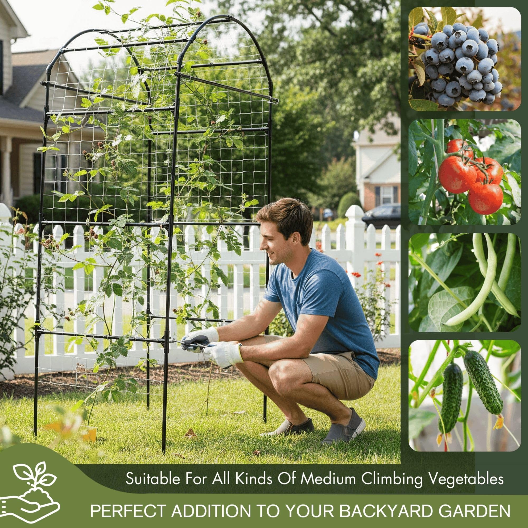 BAXAM side profile placed in raised bed demonstrating compact footprint