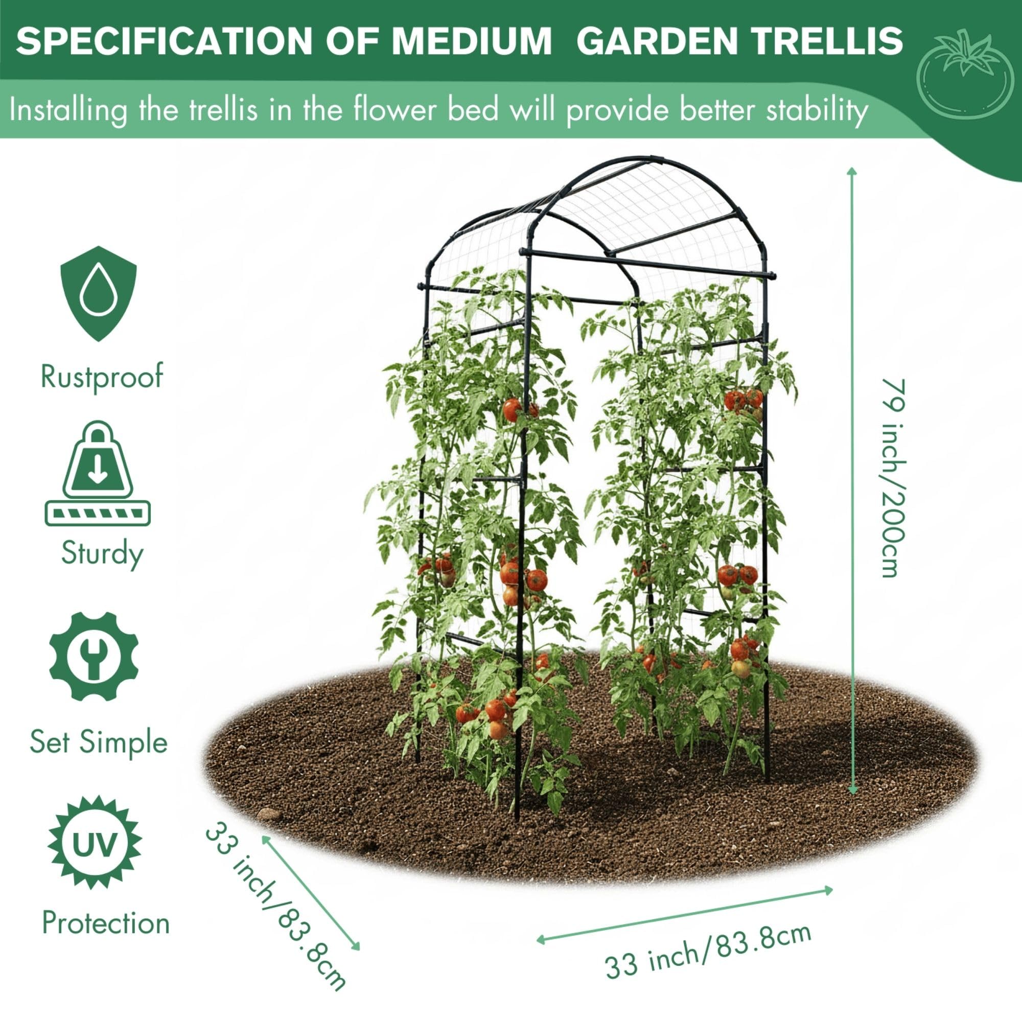 BAXAM top arch curvature with vines showing attractive tunnel effect