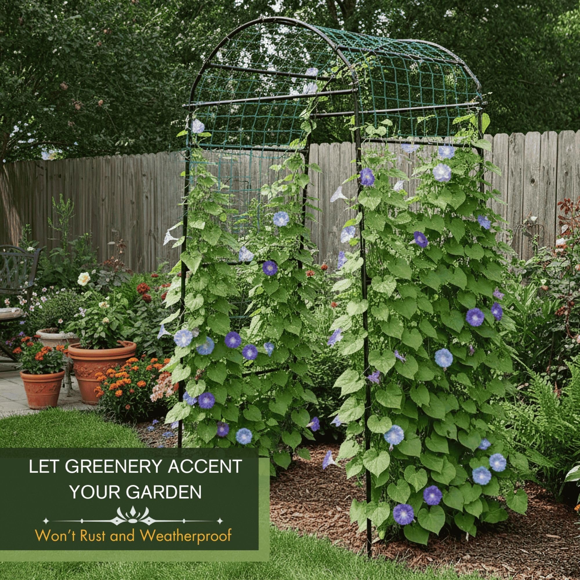 BAXAM trellis loaded with cucumbers illustrating organized vertical growth