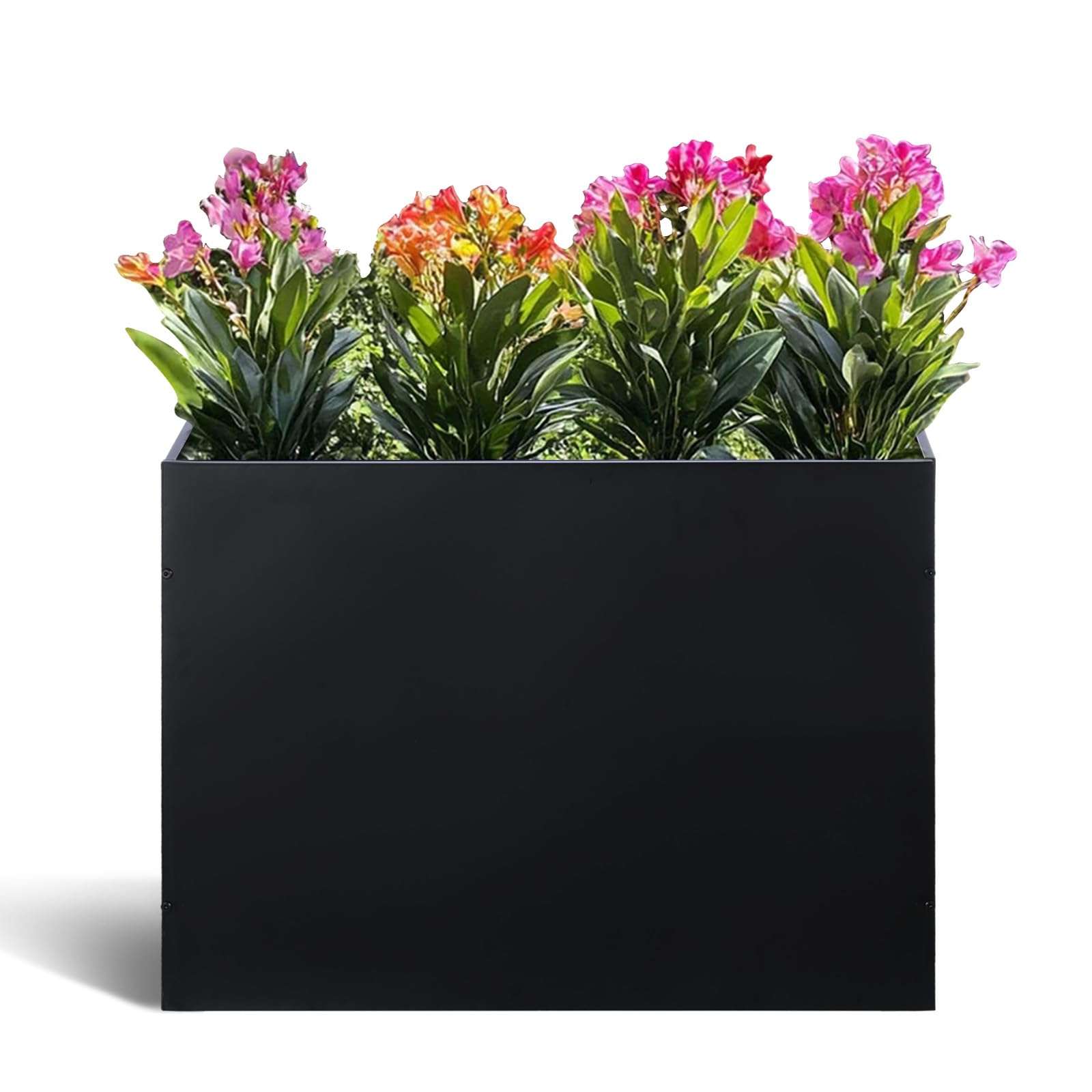 BAYN planter front view showing clean lines and modern look, enhances curb appeal