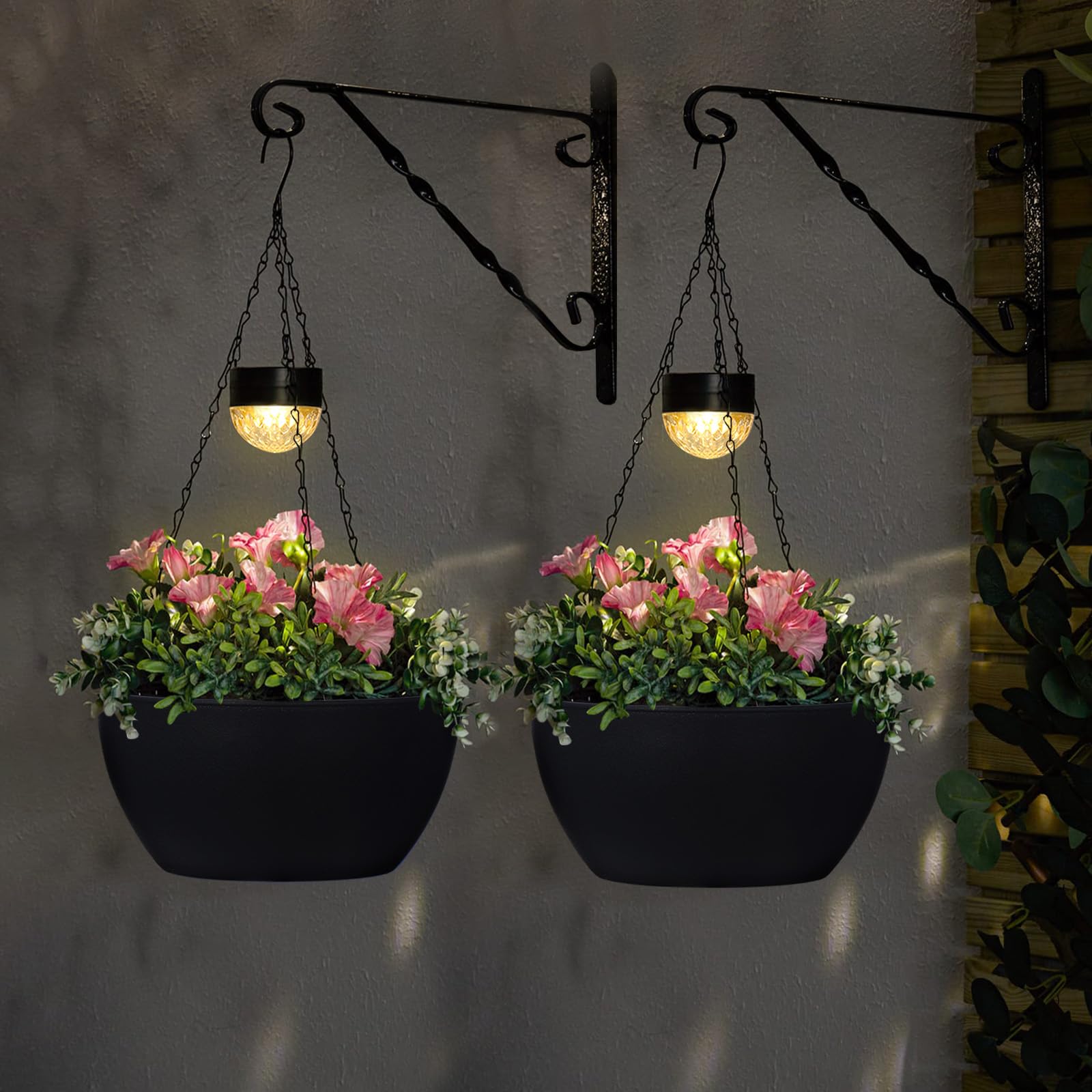 BAYN hanging planter with plant for size comparison and visual scale