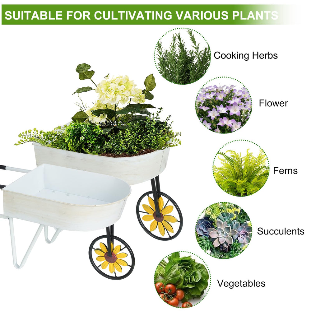 BAYN wheelbarrow filled with succulents and soil, creates low-maintenance attractive display