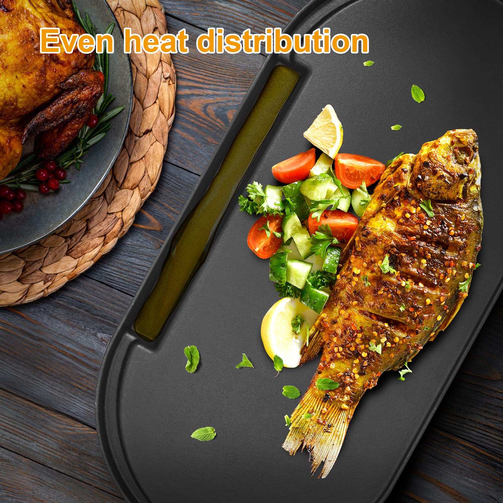 BBQ-PLUS griddle with carry bag for clean transport and storage