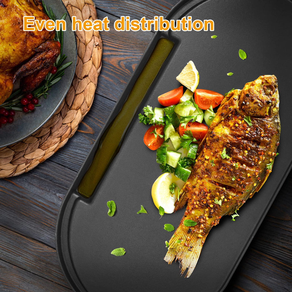 BBQ-PLUS griddle with carry bag for clean transport and storage