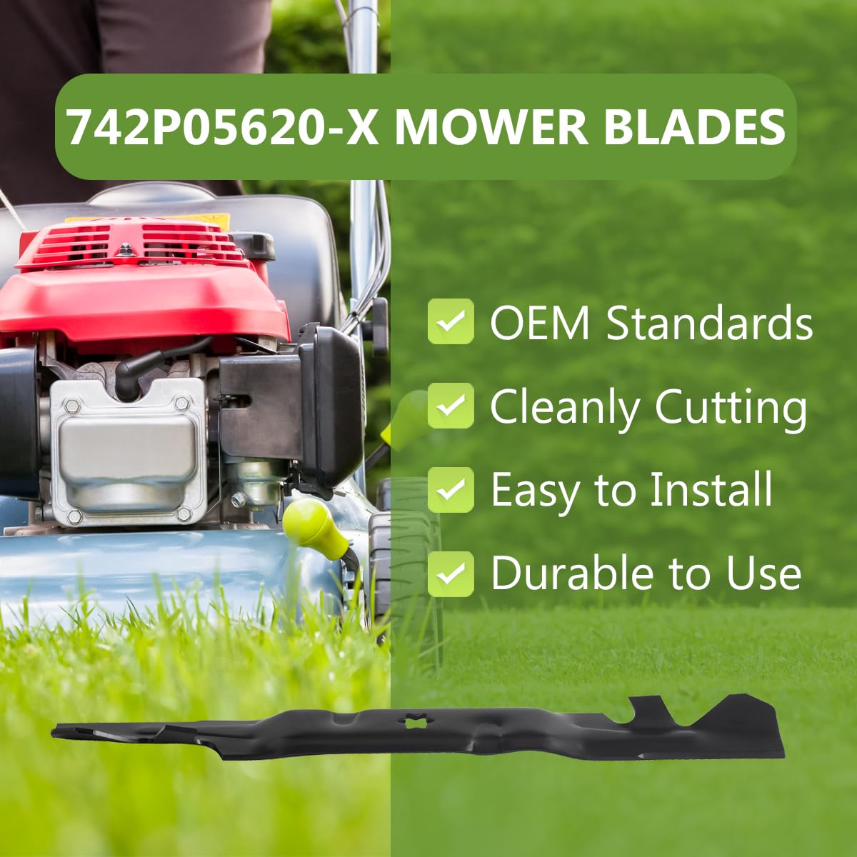 BCQNXX close-up of blade edge and curvature highlighting durable steel and sharpness
