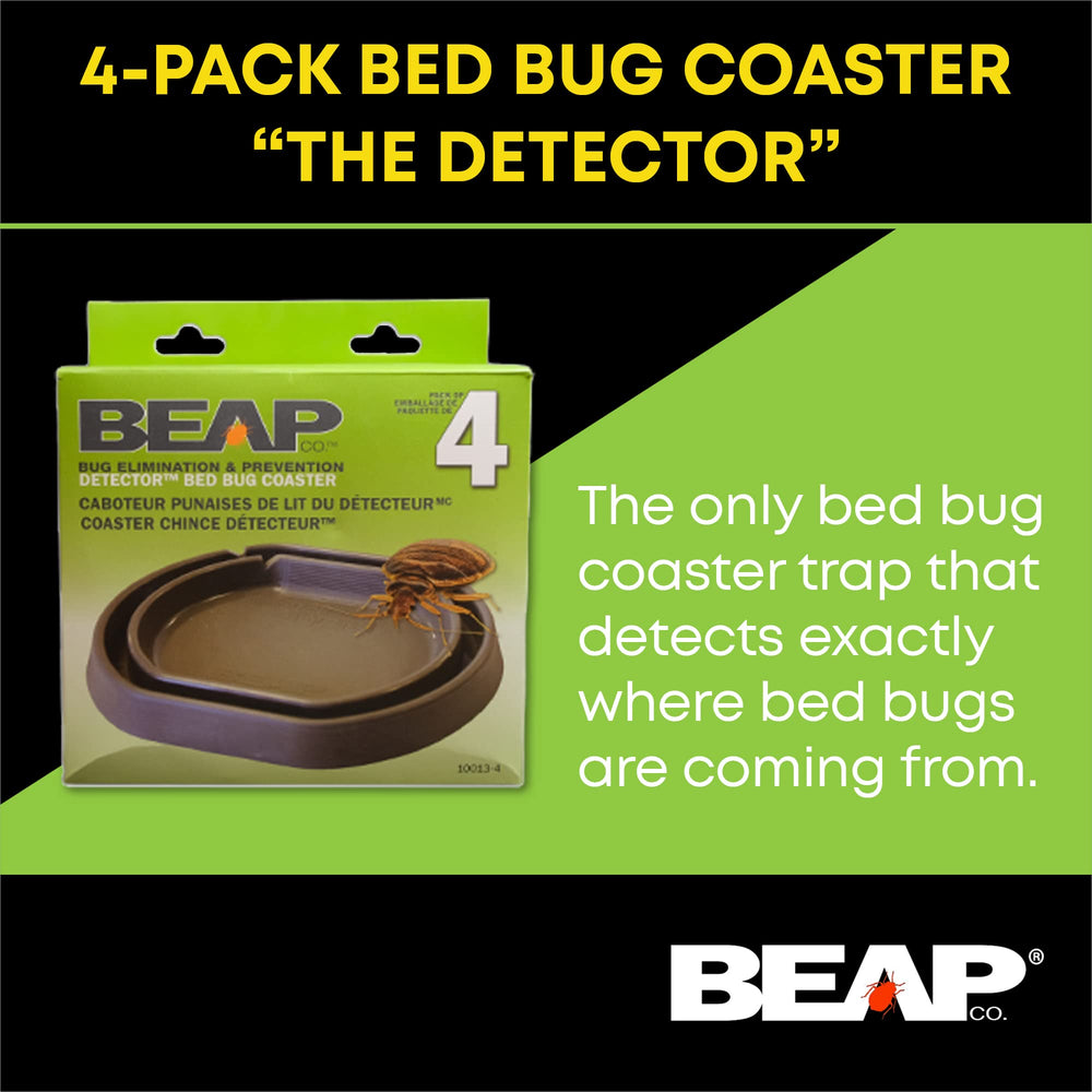 BEAPCO interceptor next to ruler showing 6.5×6×3 inches size for fit verification
