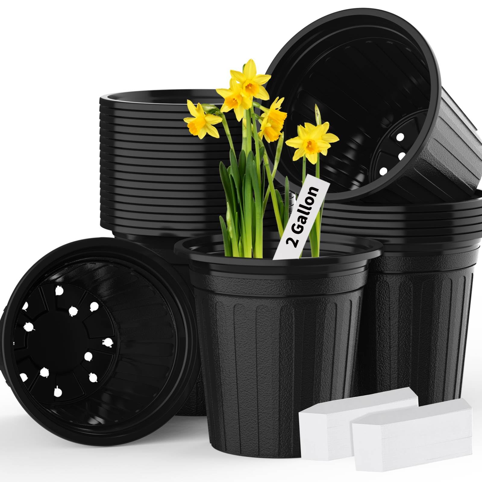 BeapTcely front view of 50 2‑gallon pots showing packaging and quantity benefit