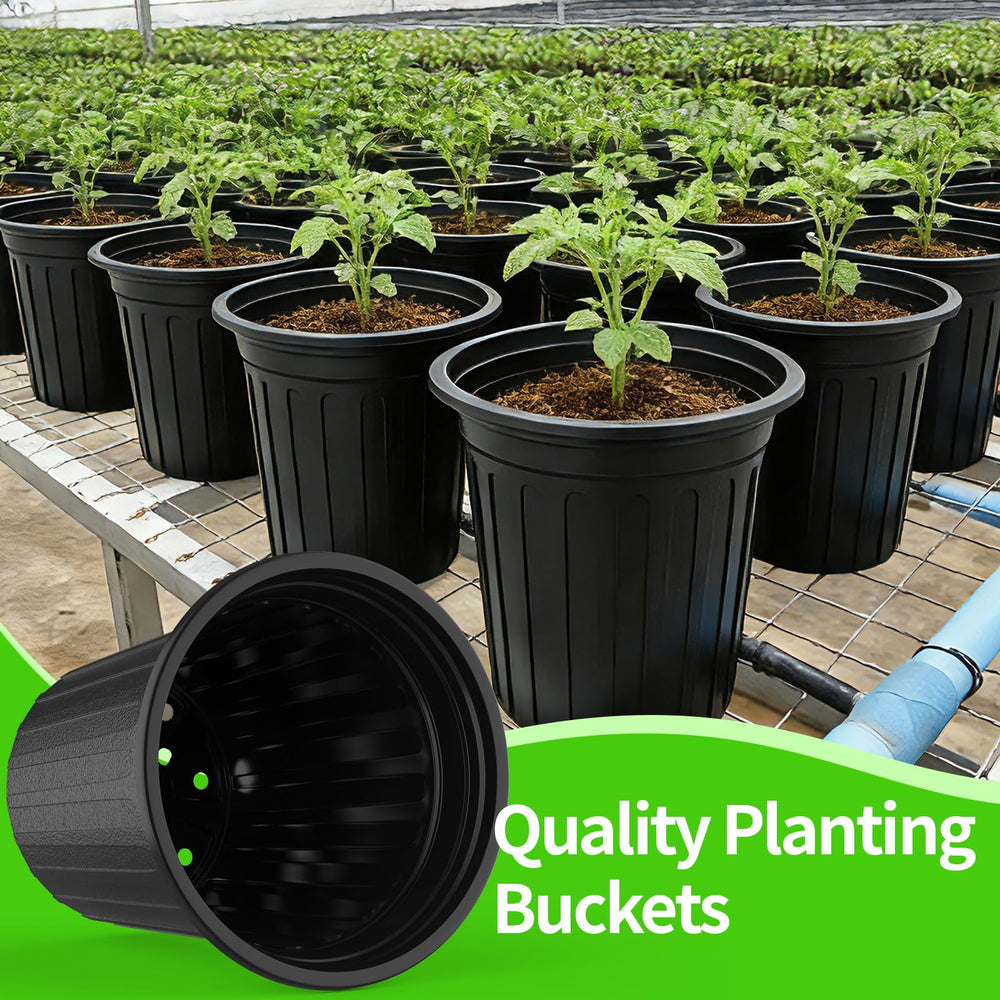 BeapTcely plant labels with writable matte surface for clear identification