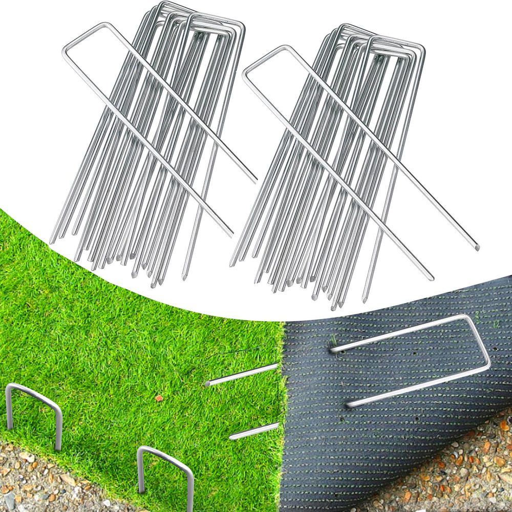 BEBEKULA front view of 200-pack galvanized staples showing value and quantity