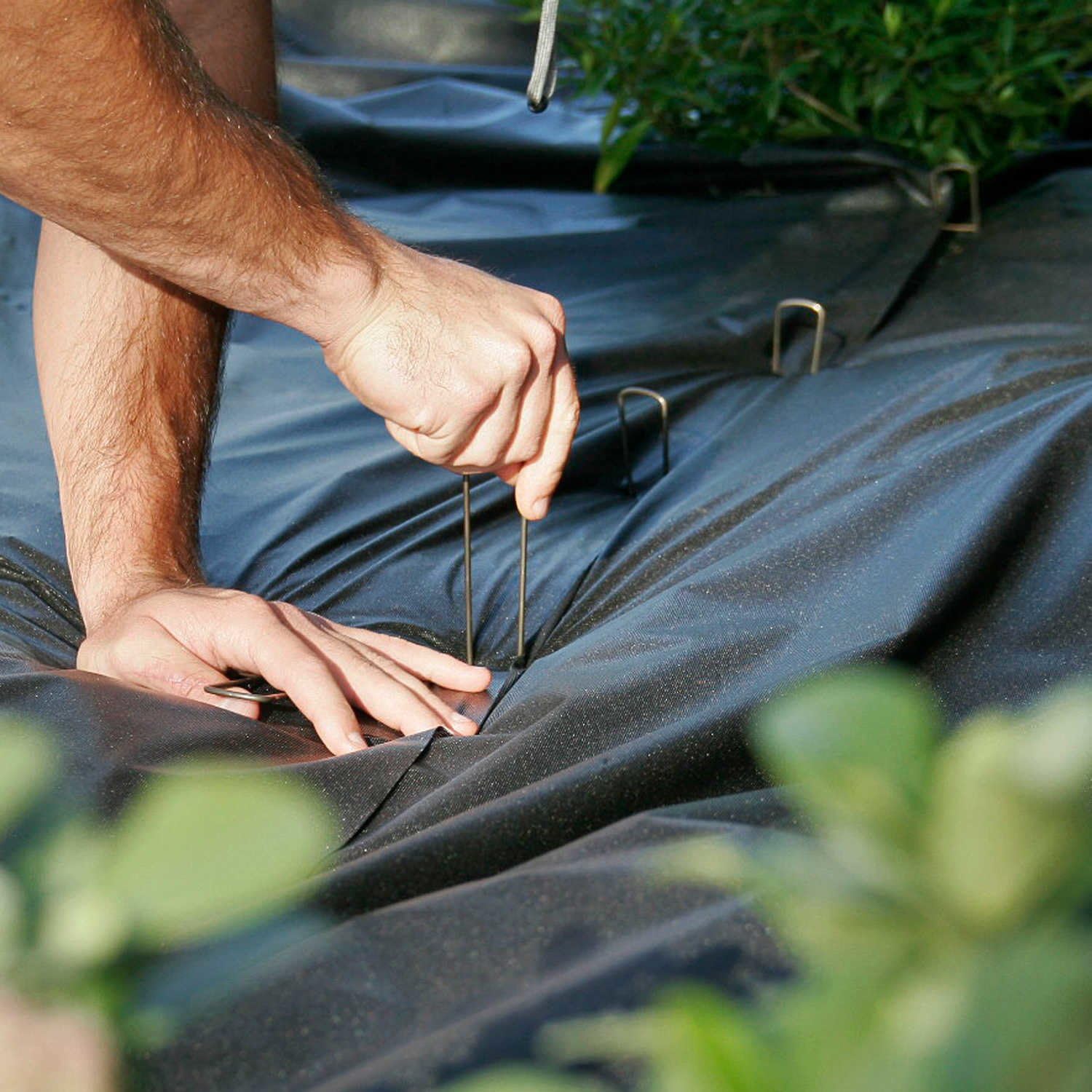 BEBEKULA garden bed scene with staples installed for tidy, secure landscaping