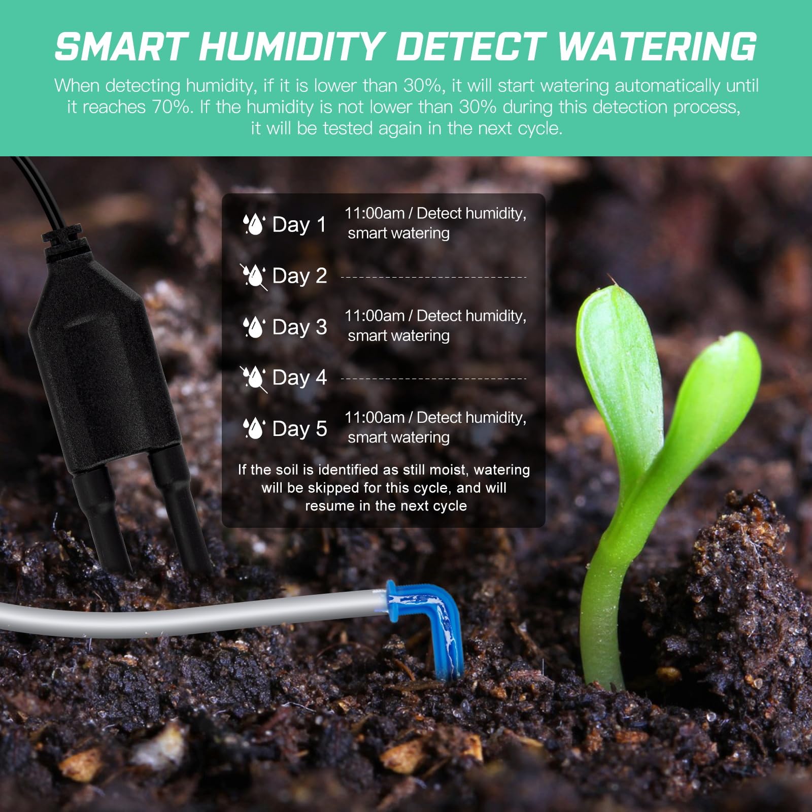 beday blue unit display panel closeup, easy controls for scheduled watering