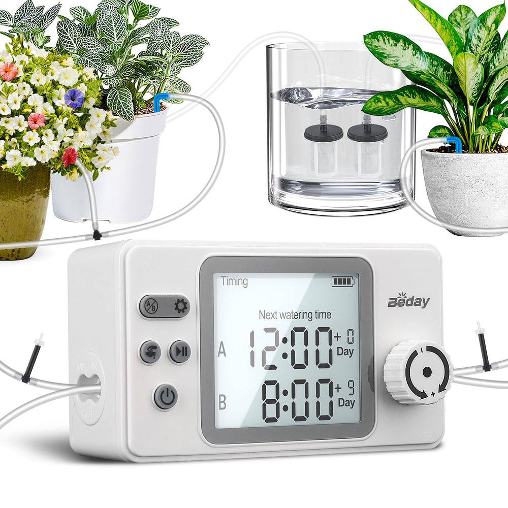 beday front panel and display showing schedule for quick confirmation and convenience