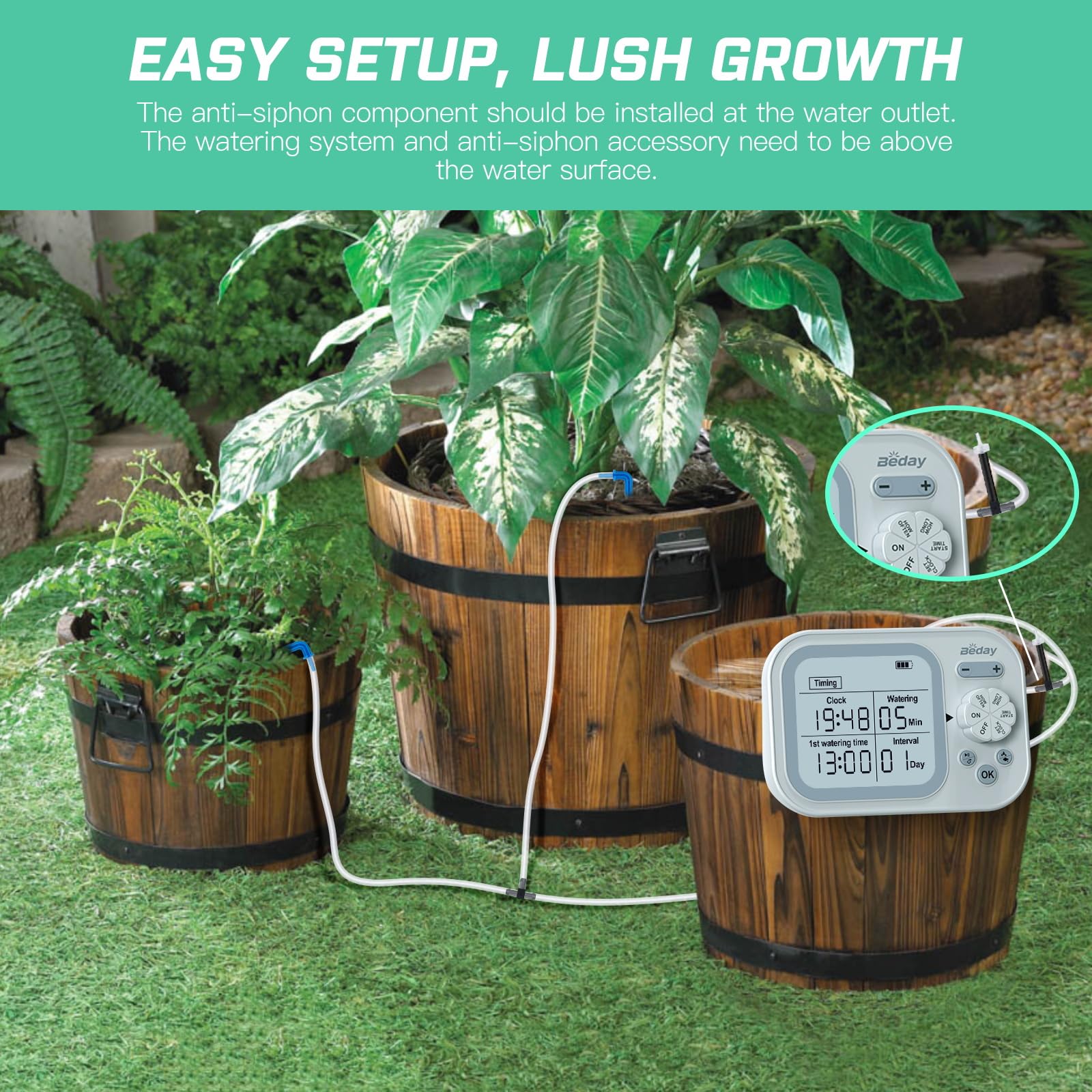 beday setup in a bright window with healthy plants highlighting reliable watering