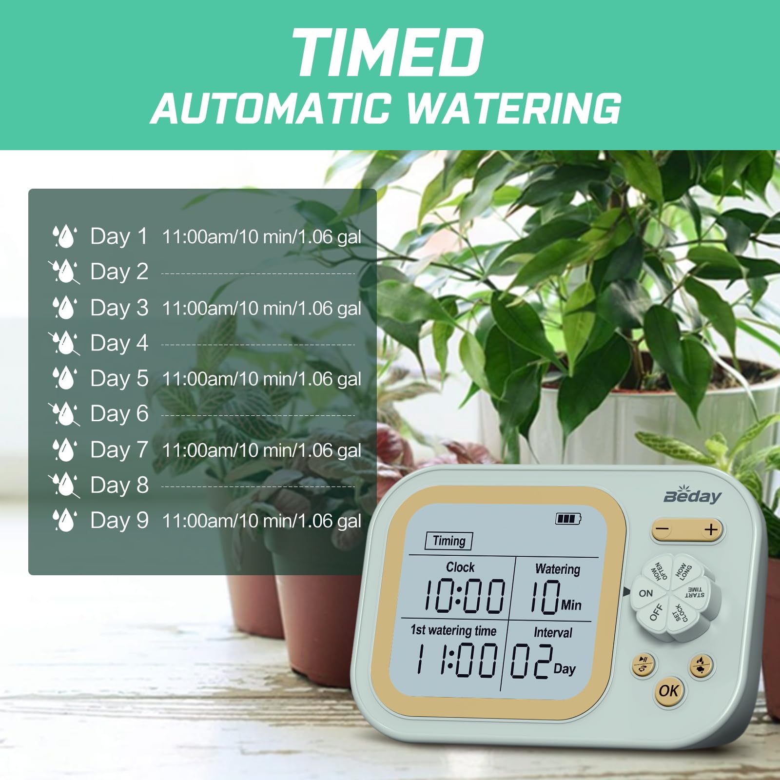 beday timer display and controls for programmable watering schedules