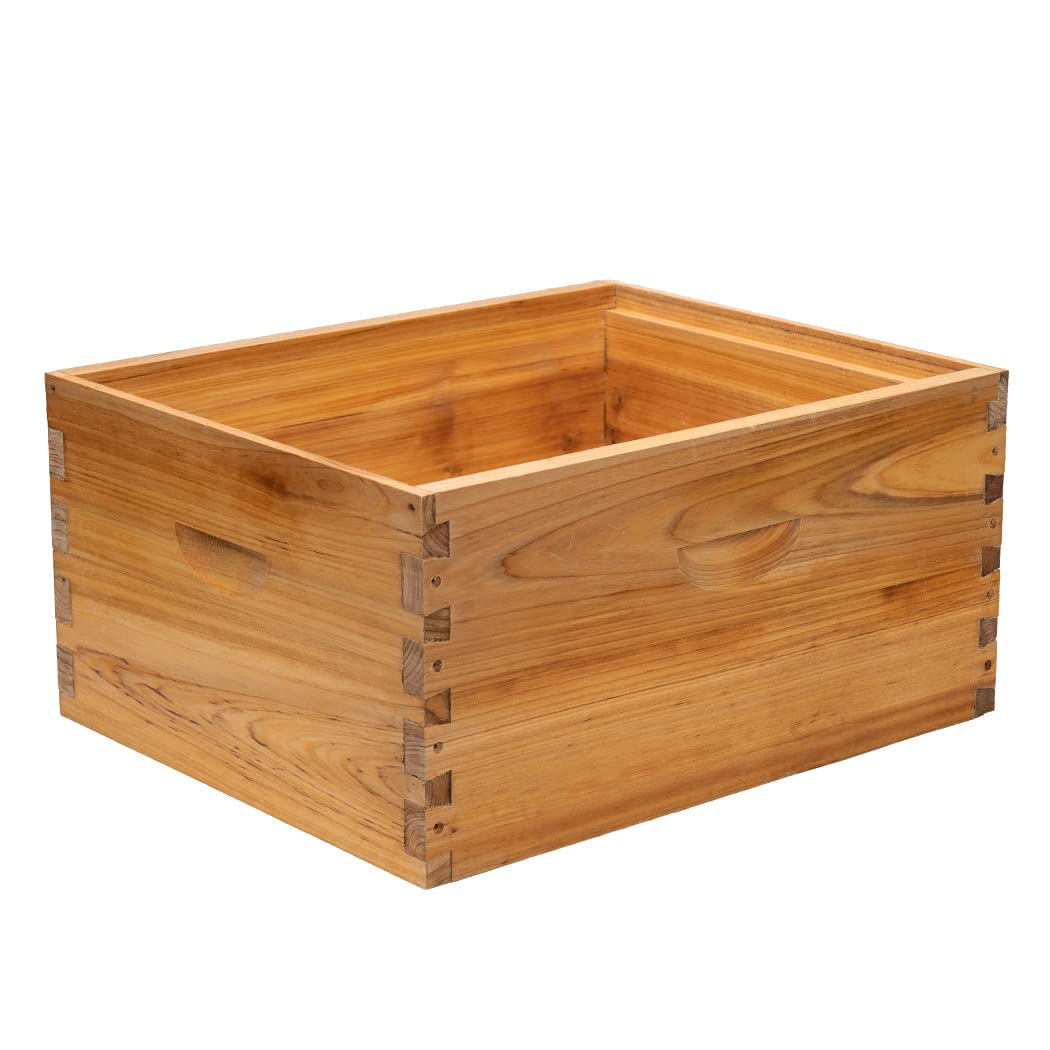 BeeCastle assembled box with frames inserted demonstrating ready-to-use layout