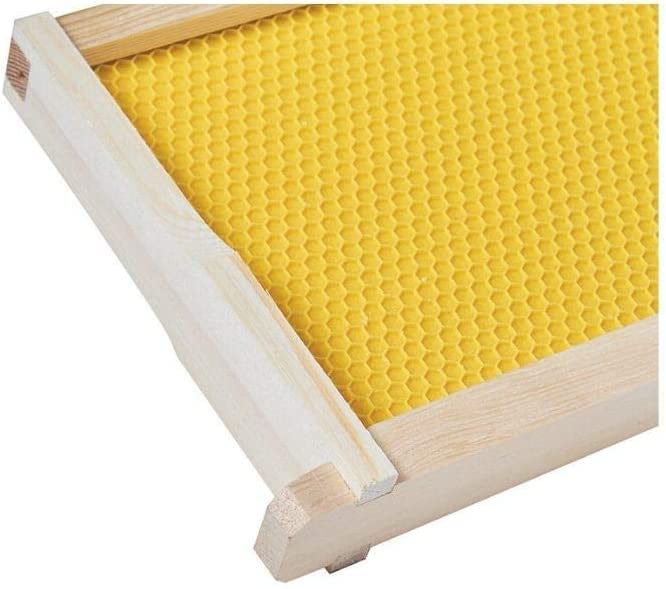 BeeCastle assembled frame detail with solid bottom bar, highlights durable construction