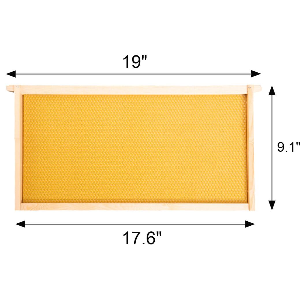 BeeCastle assembled wooden frame with foundation highlighting sturdy pine construction