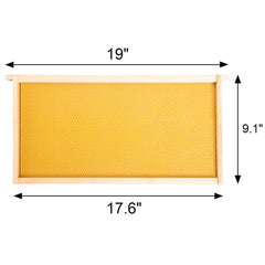 BeeCastle assembled wooden frame with foundation highlighting sturdy pine construction
