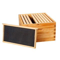 BeeCastle beeswax-coated foundation sheet promoting faster comb building