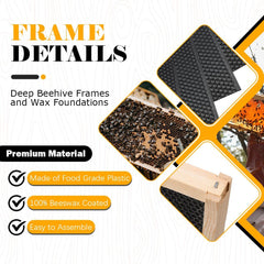 BeeCastle close-up of beeswax-coated foundation encouraging fast comb building