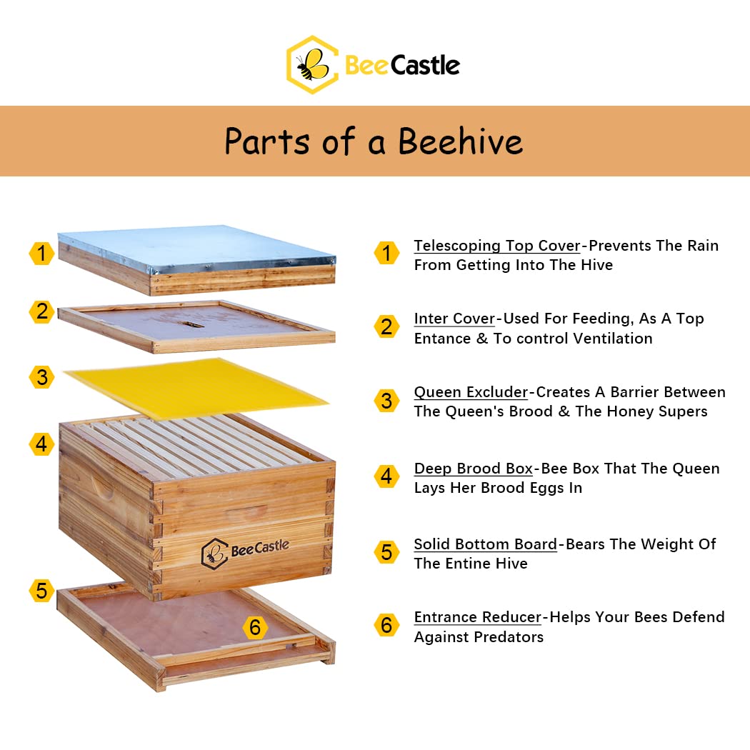 BeeCastle close-up of beeswax coating on wood offering moisture protection