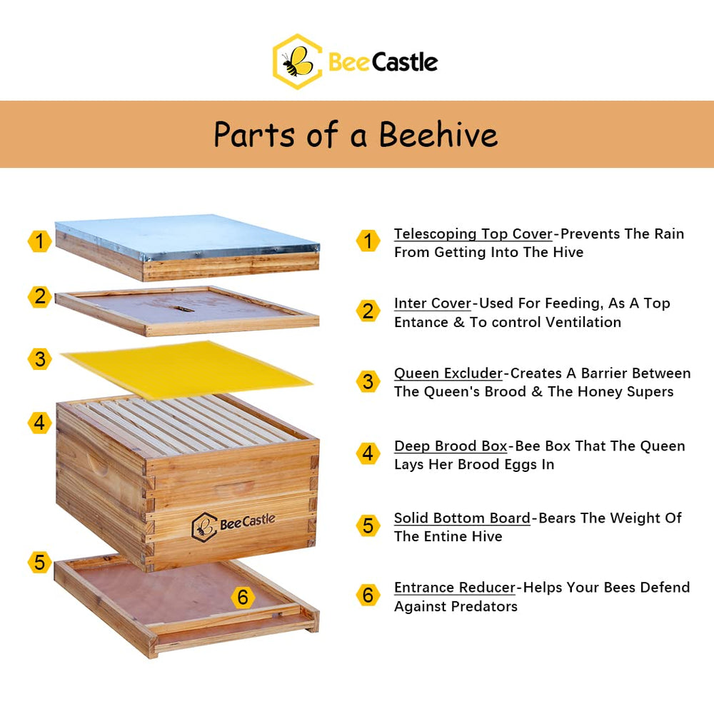 BeeCastle close-up of beeswax coating on wood offering moisture protection