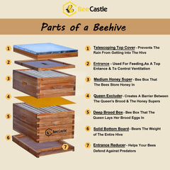 BeeCastle deep brood box close-up showing cedar grain and durable coating