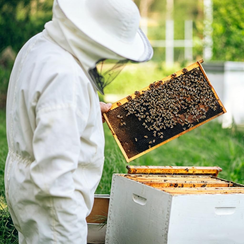 BeeCastle frame installed in a Langstroth deep brood box for accurate size comparison