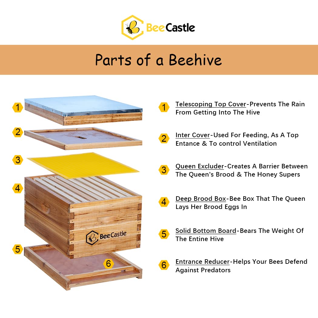 BeeCastle deep frames with black food-grade foundation sheets dipped in beeswax for quick comb