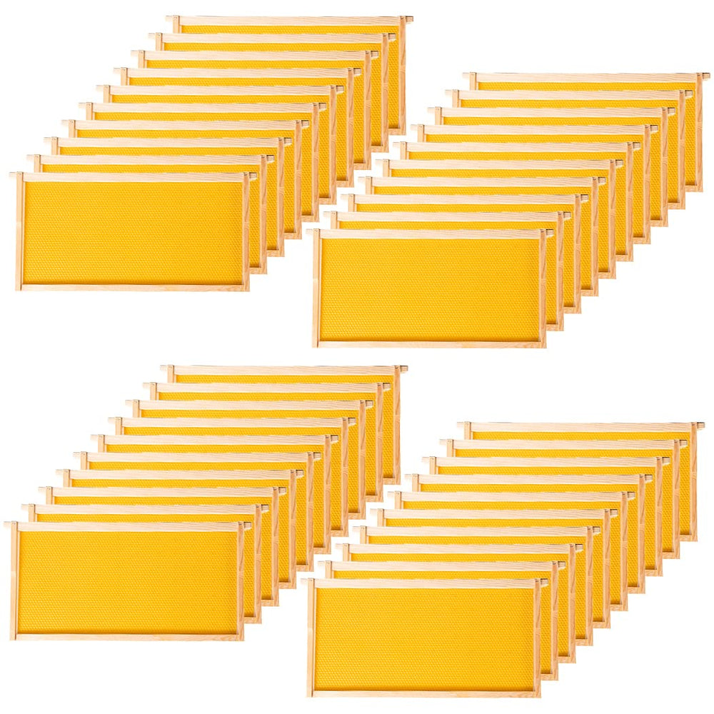 BeeCastle boxed 40-pack frames showing product stack and storage benefit