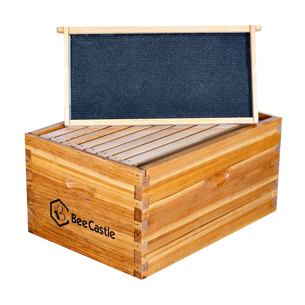 BeeCastle eight frames with beeswax-coated foundations promoting quick comb building