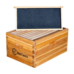 BeeCastle eight frames with beeswax-coated foundations promoting quick comb building