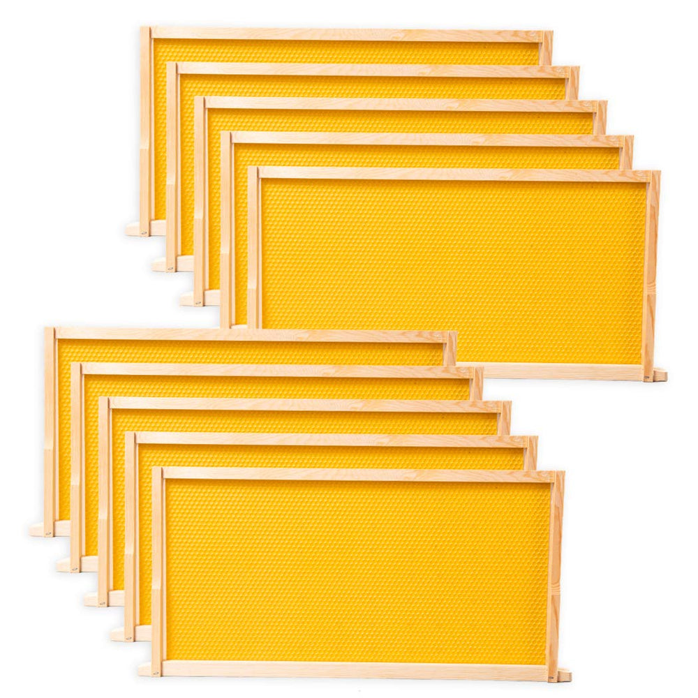 BeeCastle front view of 10-pack deep frames showing kit and packaging benefit quick setup