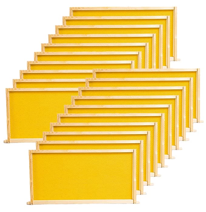 BeeCastle front packaging showing 20-pack deep frames for easy hive expansion