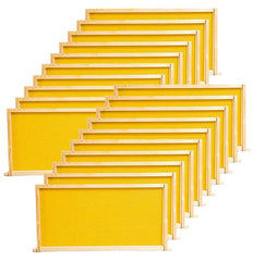 BeeCastle front packaging showing 20-pack deep frames for easy hive expansion