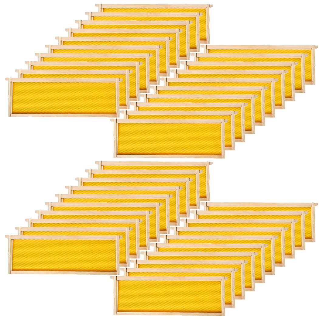 BeeCastle front packaging showing 40-pack frames and foundations, clear inventory benefit