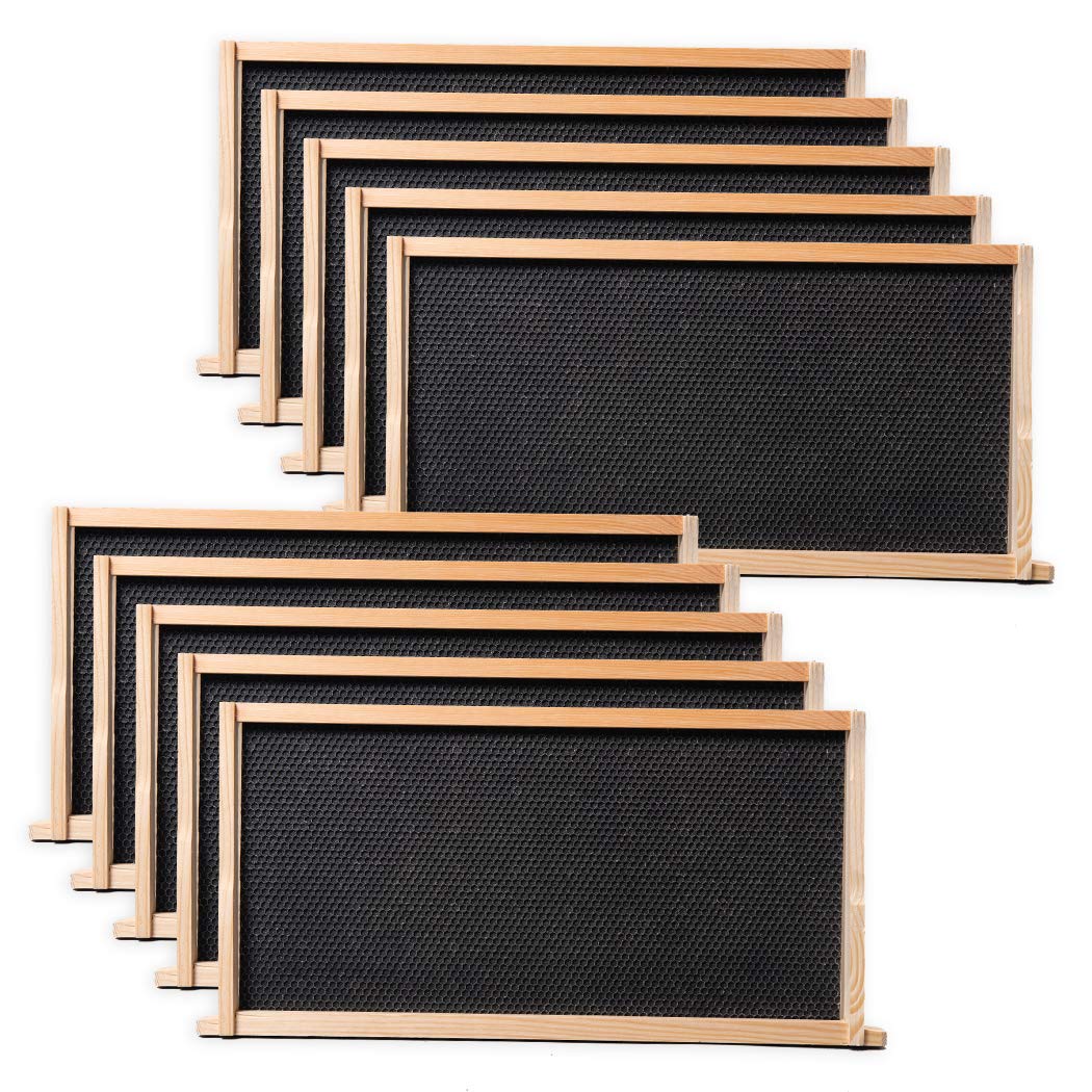 BeeCastle front packaging showing ten deep frames and foundations for quick setup