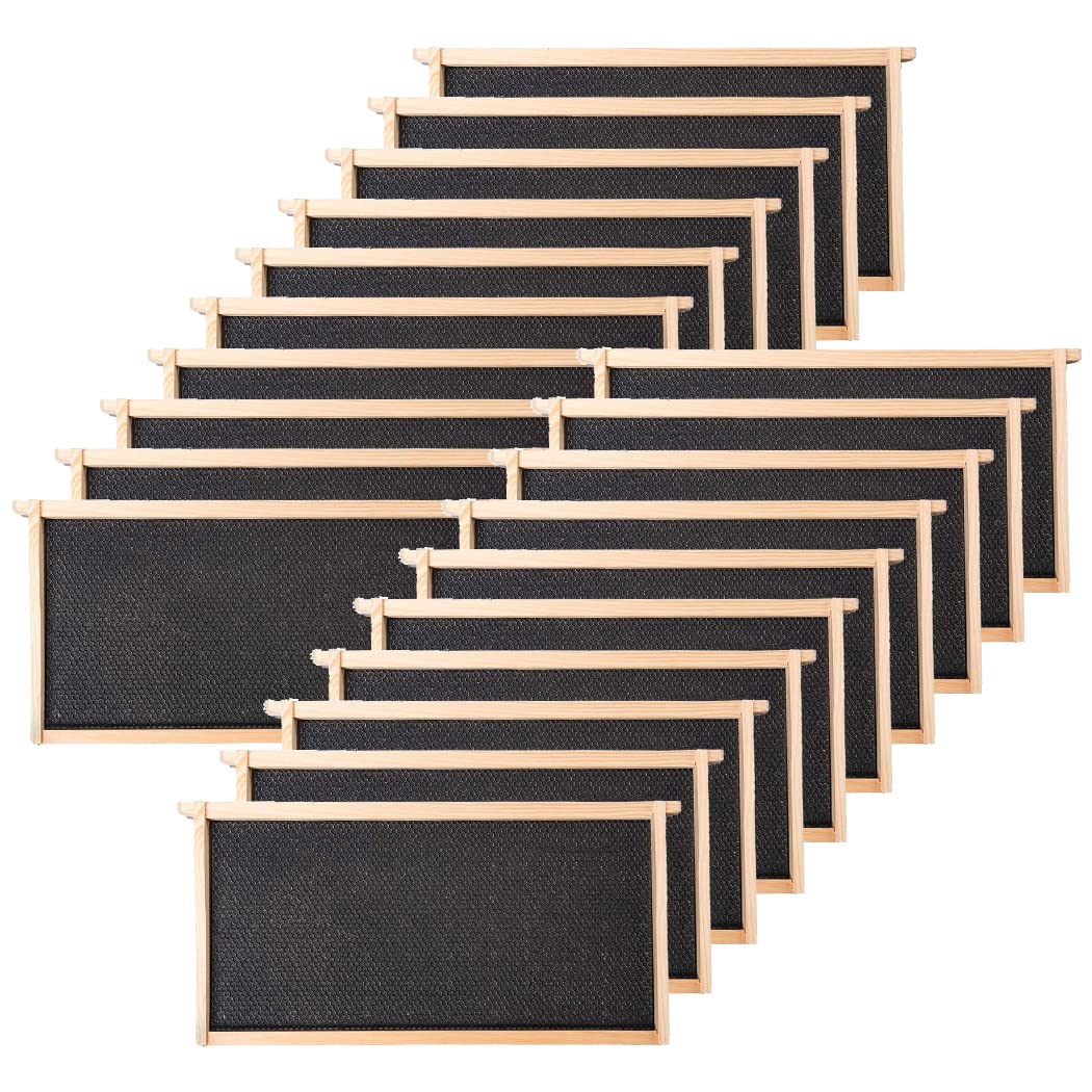 BeeCastle front packaging showing 20-pack deep frames and foundations for quick setup