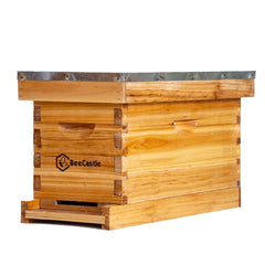 BeeCastle front view of 5-frame nuc box showing ready-to-use protection