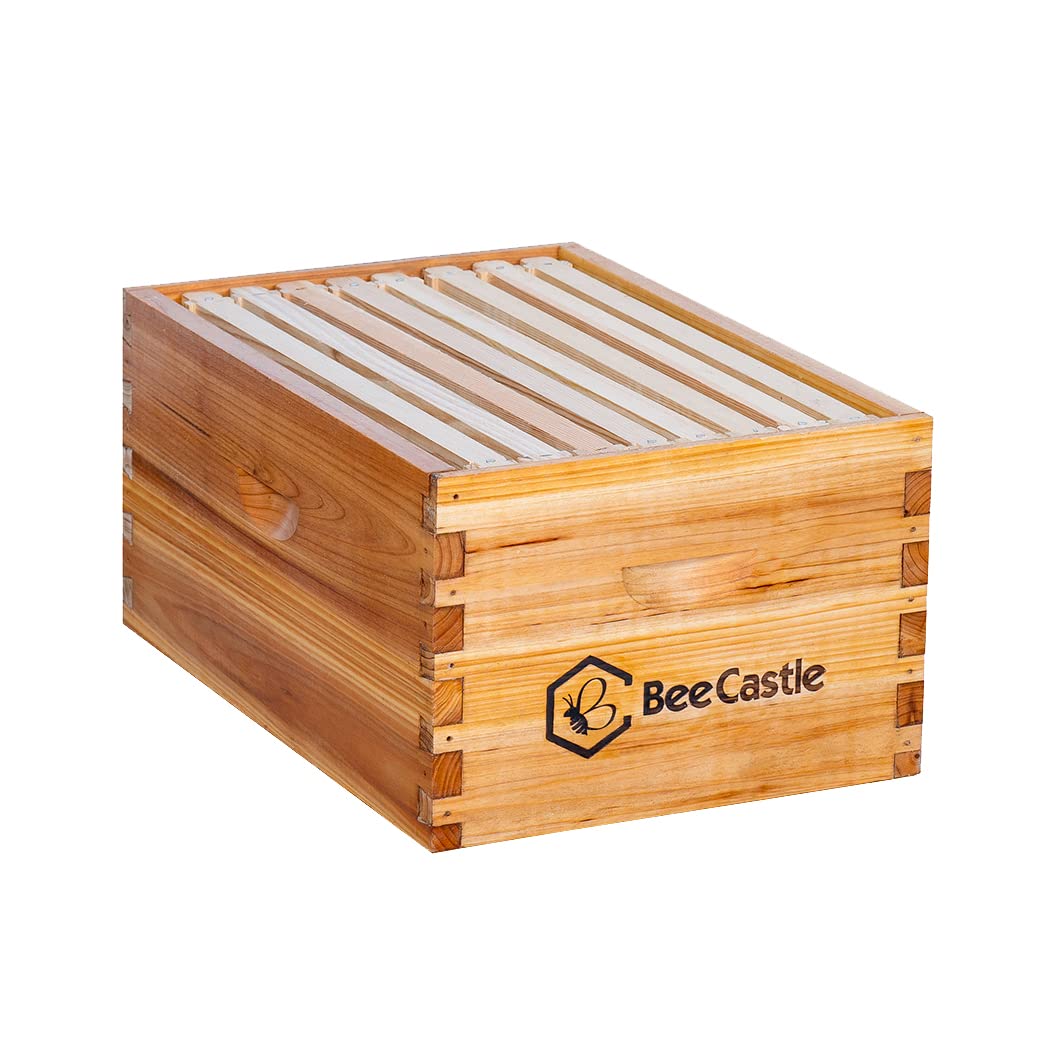 BeeCastle front view of deep brood box showing standard Langstroth dimensions and sturdy build