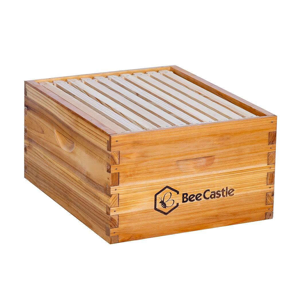 BeeCastle front view deep brood box showing durable beeswax coating and fit