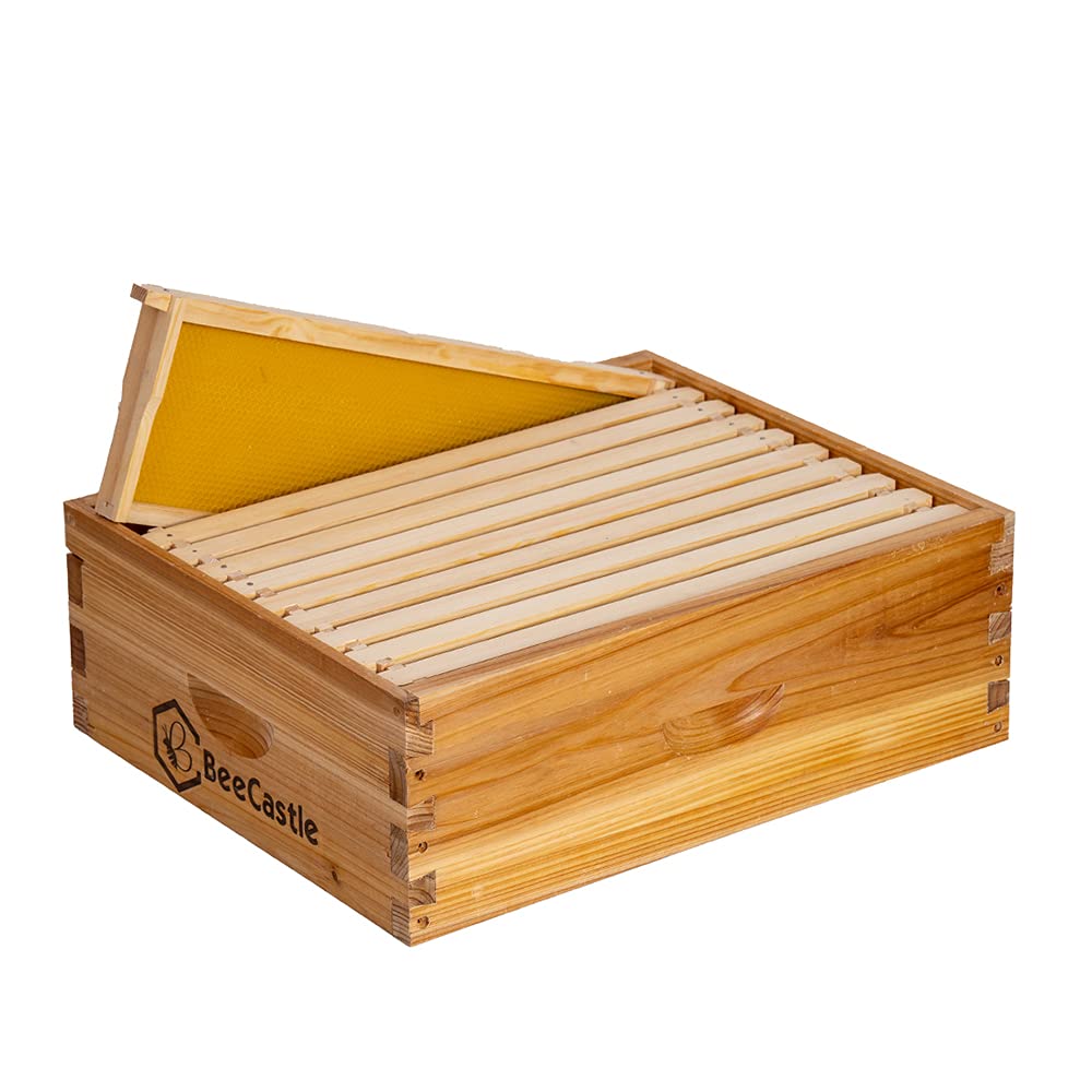 BeeCastle front view of medium super showing fit and finish, durable storage benefit