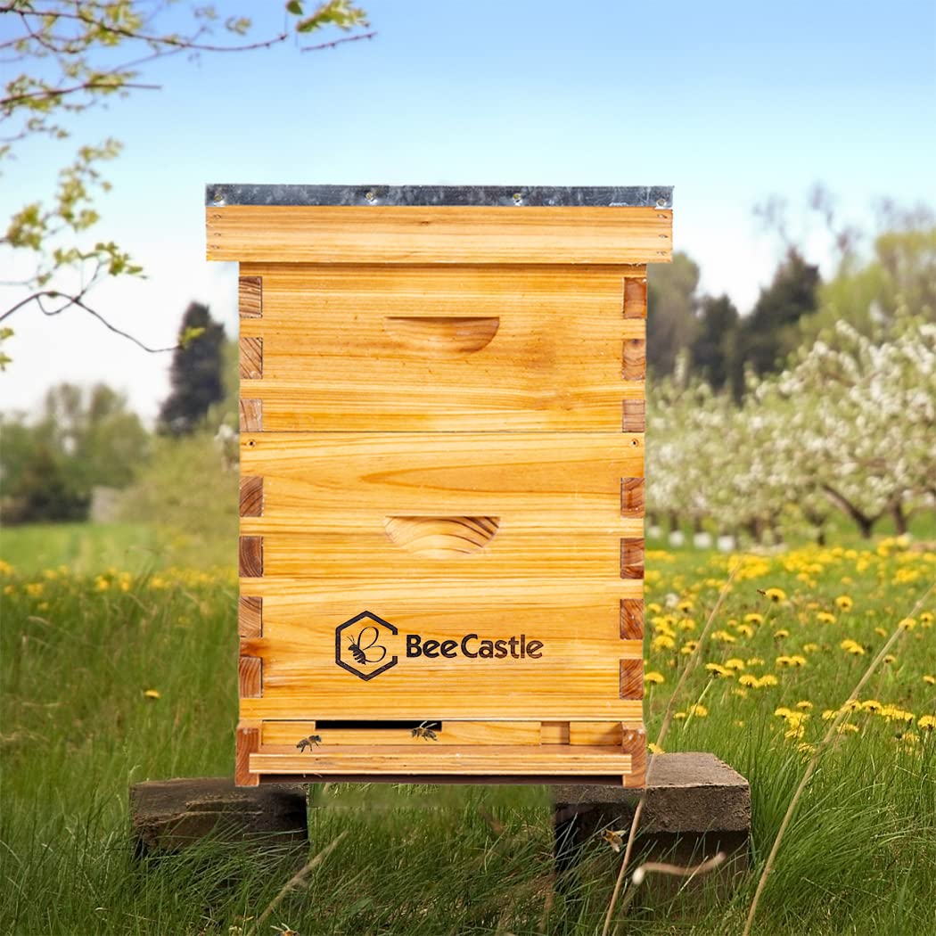 BeeCastle hive placed in yard showing usable setup and natural integration