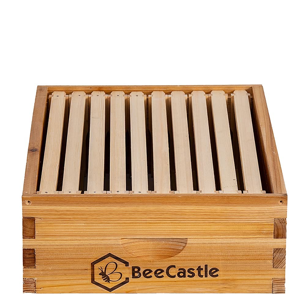 BeeCastle medium super installed on Langstroth hive demonstrating compatibility and stackability